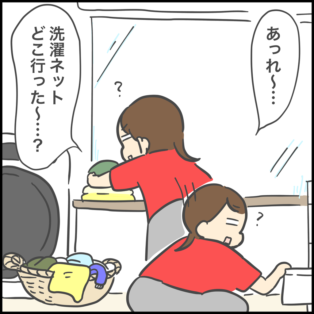 消えた洗濯ネットの謎 ぽんぽん子育て Powered By ライブドアブログ 消えた洗濯ネットの謎 ぽんぽん子育て Powered By ライブドアブログ