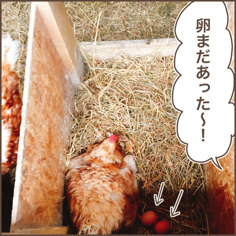 2E2F30CD-0197-44F0-AFBB-90C7FF1B6F9E