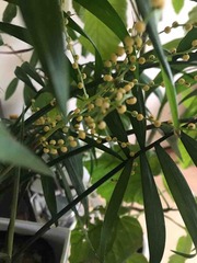 ���տ�ʪ�˲֤�