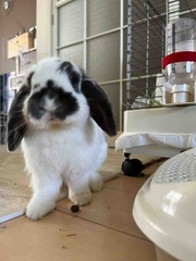 ��켪����������♡