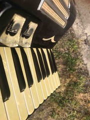 ���β���