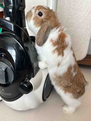 ǯ����