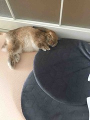 �����ǤȰ���