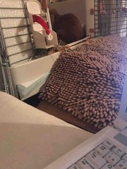 ���䤹�ߤʤ���💤