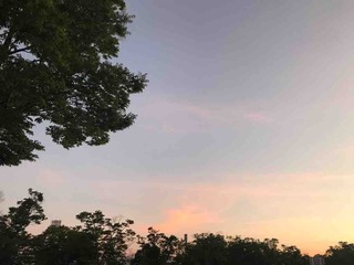 🌇