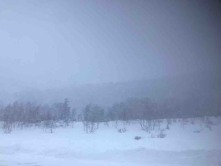 �������������