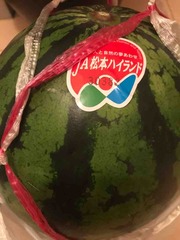 �����������🍀