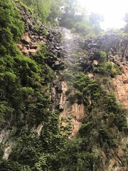 ���꤬�Ȥ��������ޤ�🌻