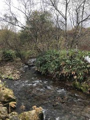 IMG_5432