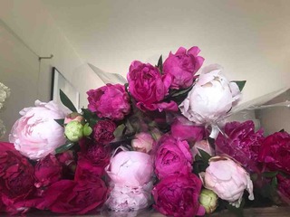 �Ƥӡ���������ơ�