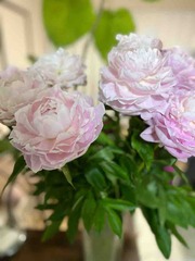 FullSizeRender