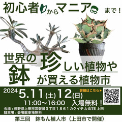 �轵���Ϣ�