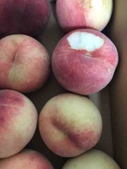 ���Ĥδ֤ˡ�