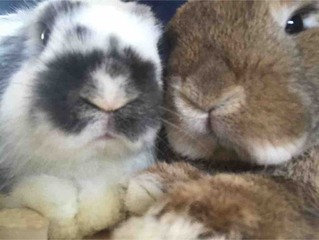 �򤷤���❤️