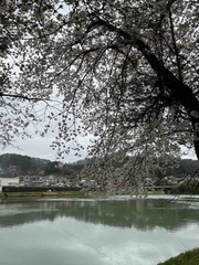 IMG_6585
