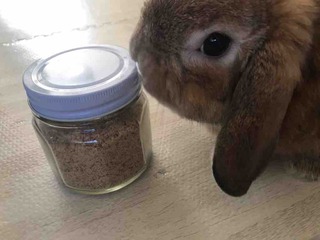 �����Τ����❤️