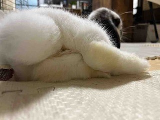�ʤ�����
