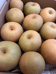 ����³����