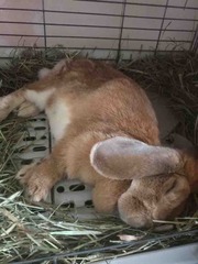 ������❤️