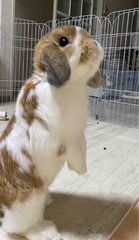 ���󤺡�9����