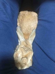 ��������������