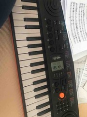�����ϵס��Υ��󥵡���🎼
