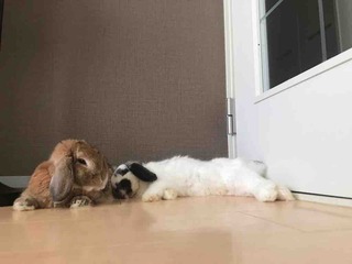 �����ʤ�