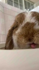 �����Ϣ�