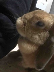 �Ĥ��ڥ�������