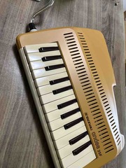 ������ž