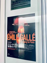 ���ߡ��륬��Ÿ@����ȥ꡼���Ѵ�