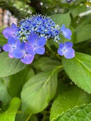IMG_7656