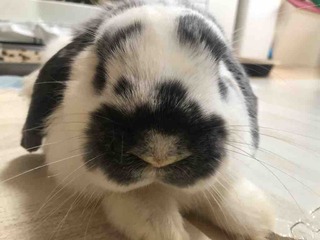 Ϣ��
