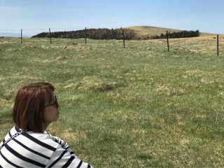 �ޥ��ե��ˡ��Х�󥿥���