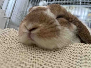 ����