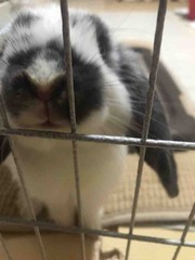 �����ۤ�