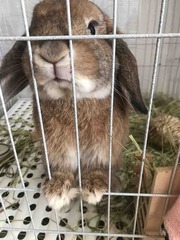 ȿ�ʤο������Ĥ�̵��💞