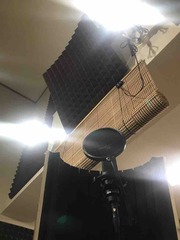 �Ĥ�����🌱