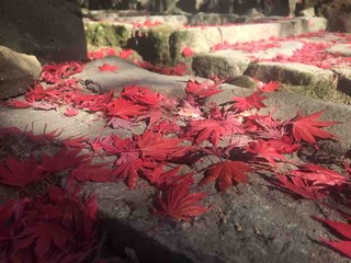 ���桡�����