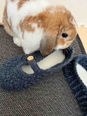 ���ä�����💕