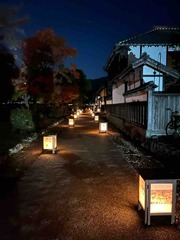 IMG_8842