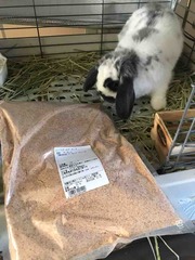 �������٤Ƥ�