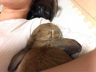 �����ǤϤ褯����