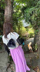 IMG_1614