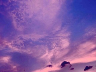 ���Τ餻