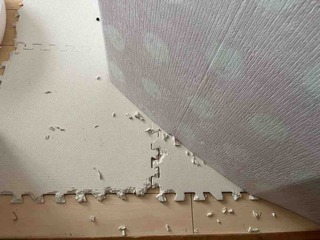 ���ޤäƤ��줯��