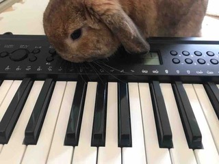��������Ĺ�Ω���Ѵۥ饤��