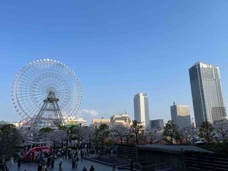 IMG_9863