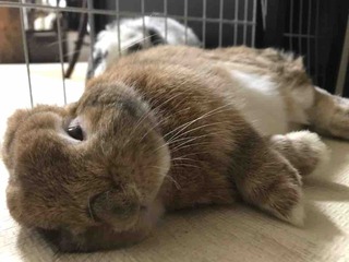 �����ܡ���