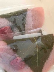 �դ��Ϥ���